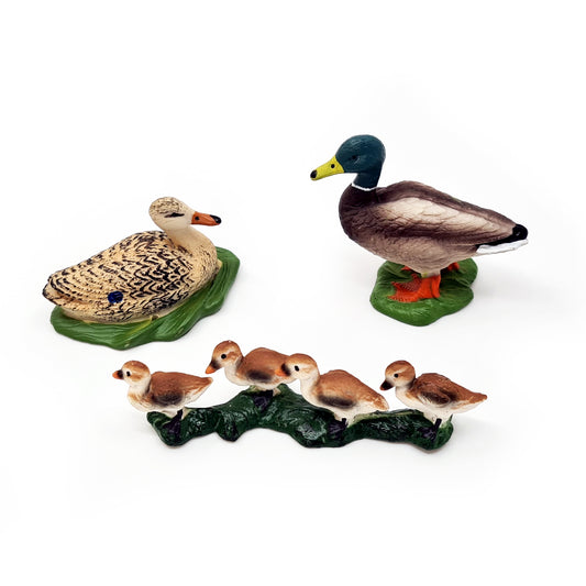 Duck Family Pack