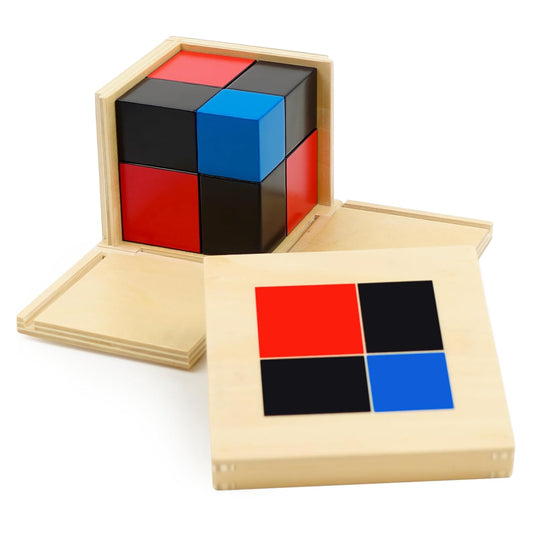 Economy Binomial Cube