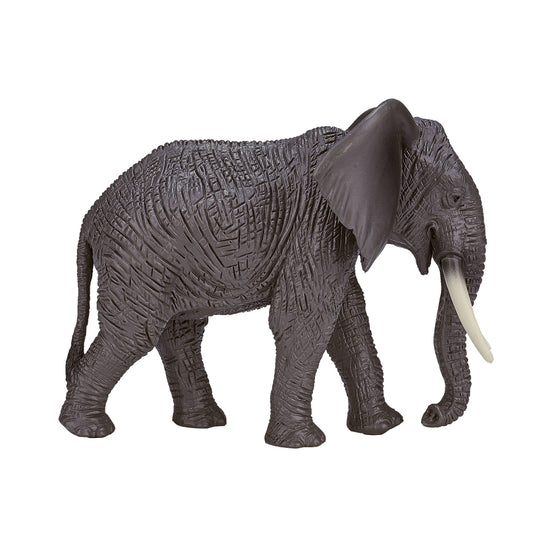 Animals of Africa: Elephant