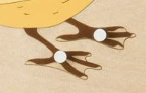 Nienhuis Spares Animal Puzzle Piece: Bird, Right Birds Foot