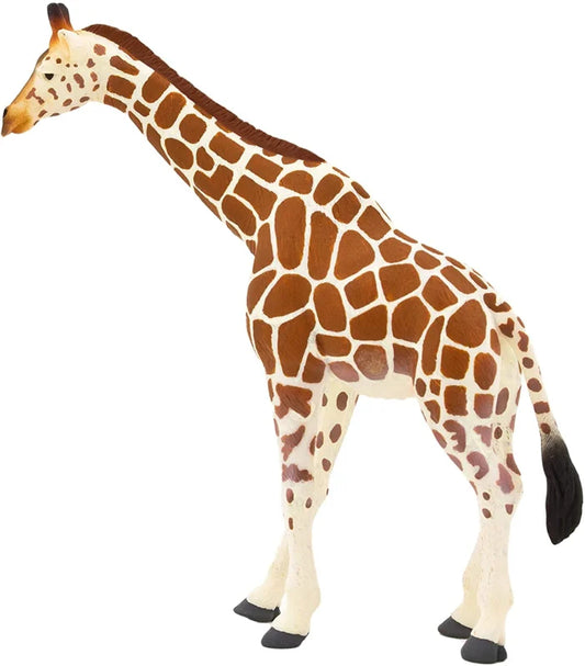 Animals of Africa: Giraffe
