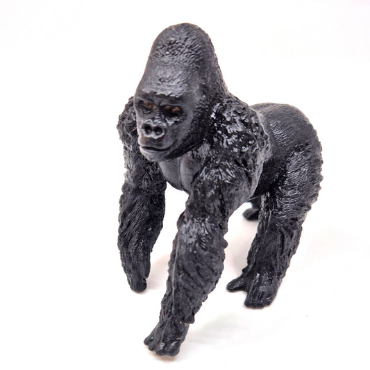 Animals of Africa: Gorilla