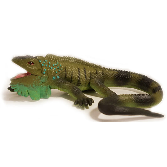 Animals of South America: Iguana