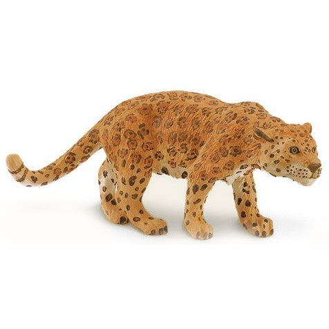 Animals of South America: Jaguar