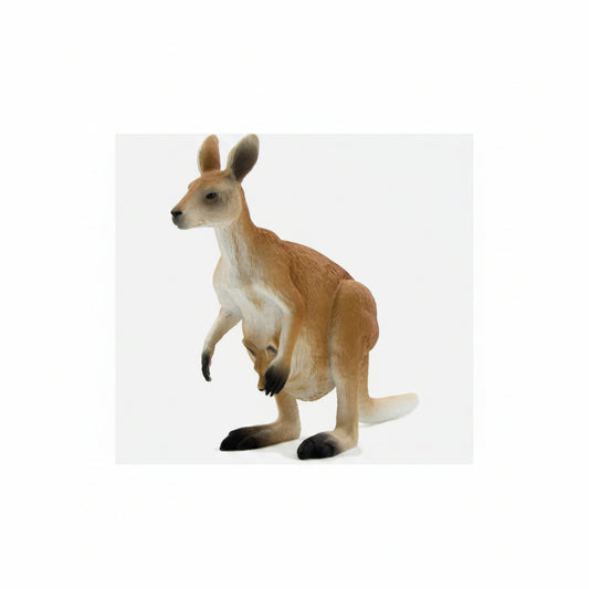 Animals of Australia: Kangaroo