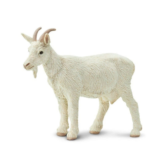 Farm animals: Goat: Nanny