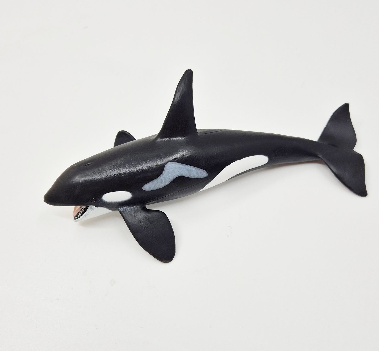 Animals of the Oceans: Orca