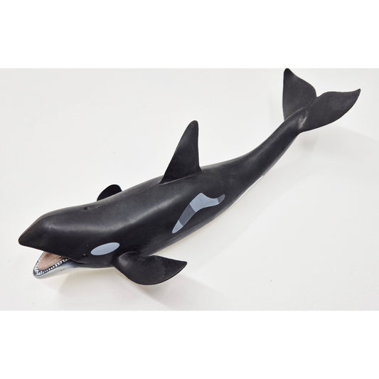 Animals of the Oceans: Large Orca