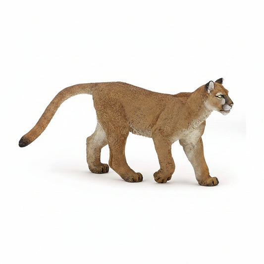 Animals of America: Puma Cougar