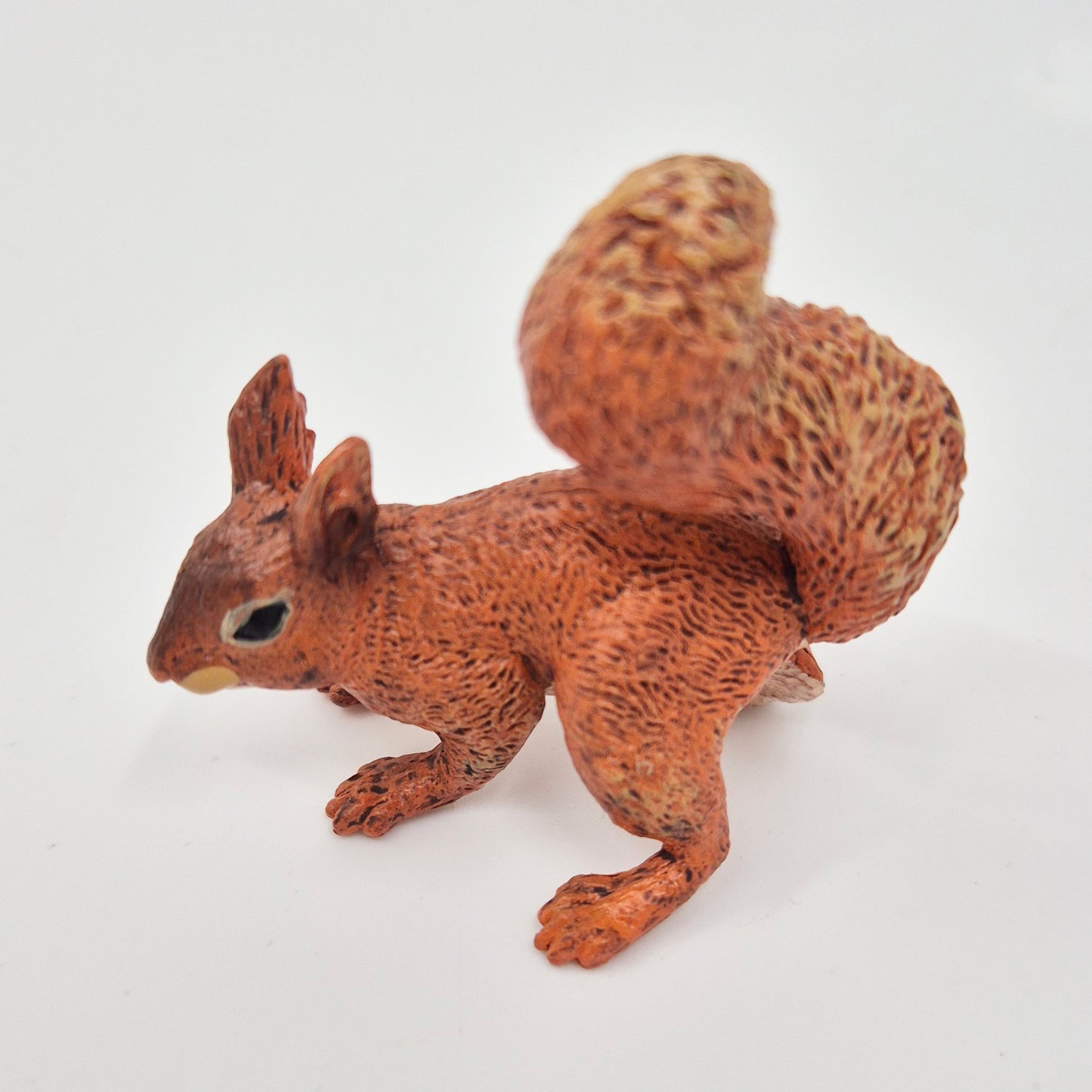 Animals of Europe: Red Squirrel
