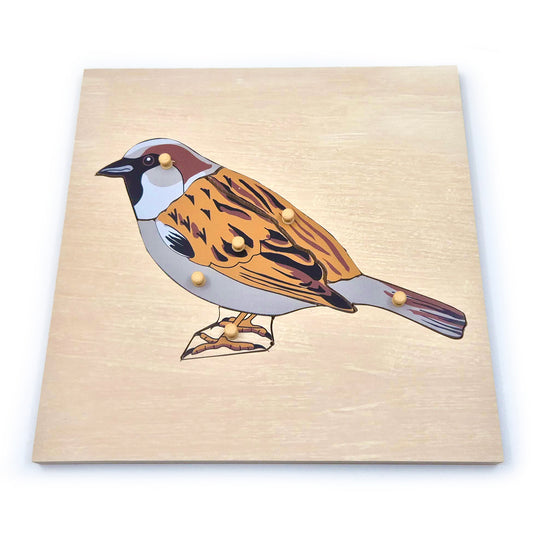 Native British Birds Peg Puzzle: Sparrow