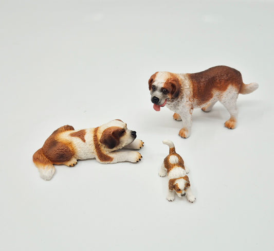Domestic pets: 2 dogs and a puppy (St Bernards)