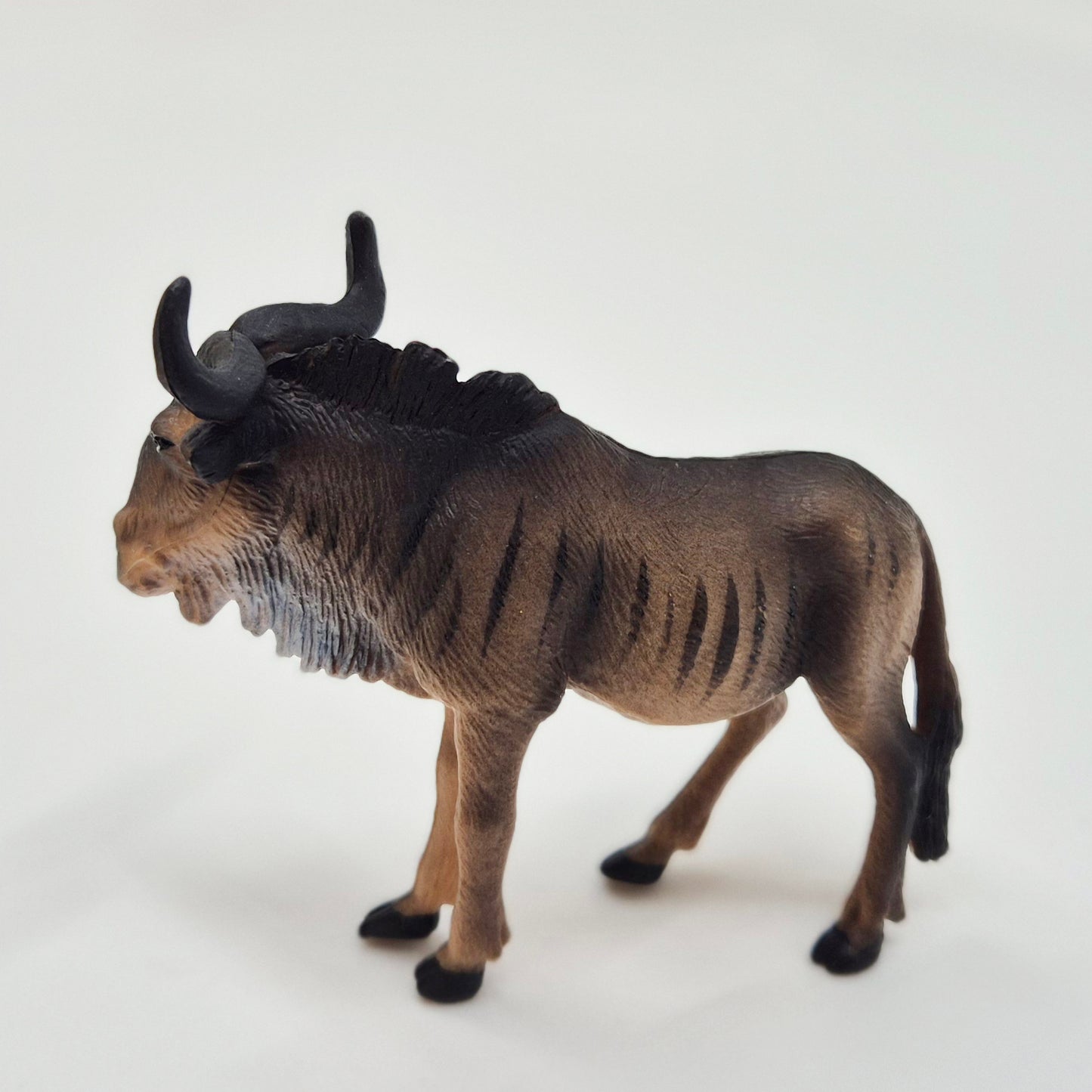 Animals of Africa: Wildebeest