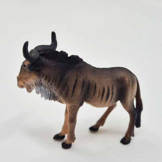 Animals of Africa: Wildebeest