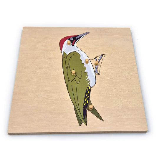 Native British Birds Peg Puzzle: Woodpecker