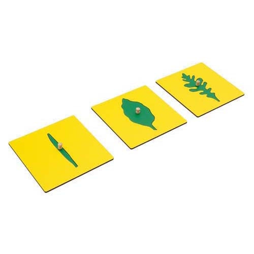 Montessori Leaf Shapes Insets For The Botany Cabinet