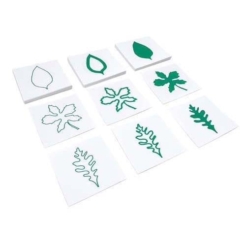 Montessori Leaf Cards