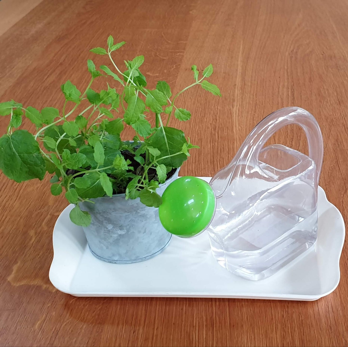 Small Clear Watering Can