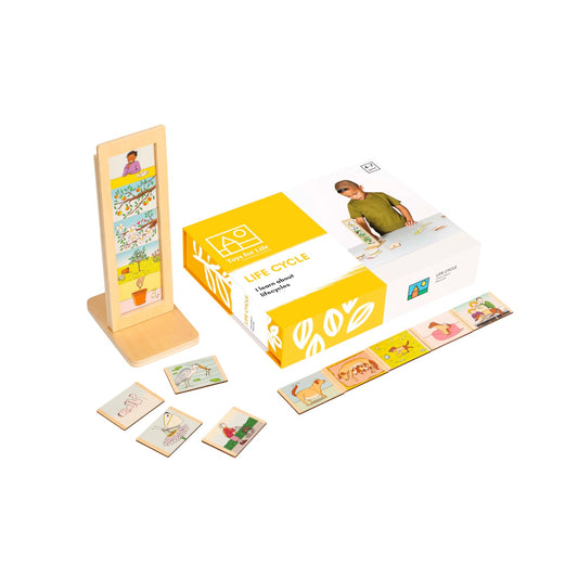Life cycle: Lifecycles Stand and Cards