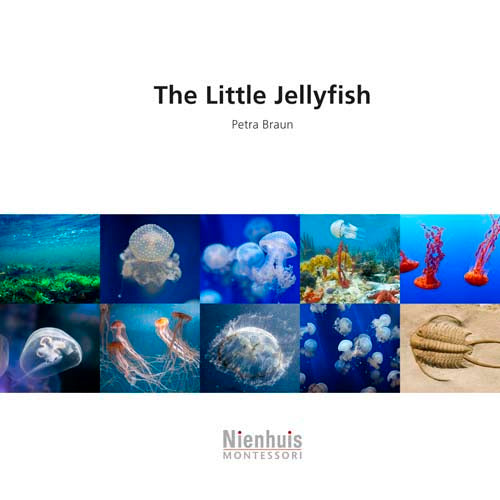 Nienhuis The little jellyfish