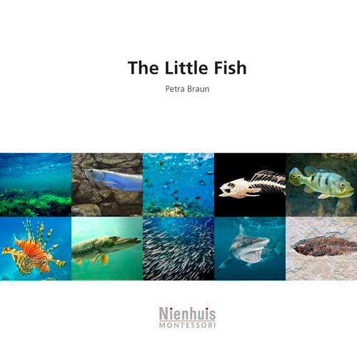 Nienhuis The little fish†††††