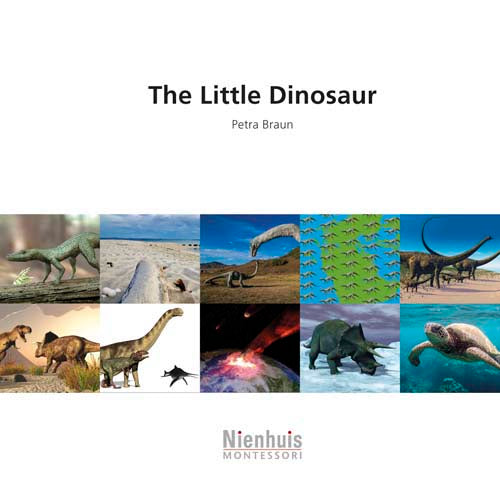 Nienhuis The little dinosaur†