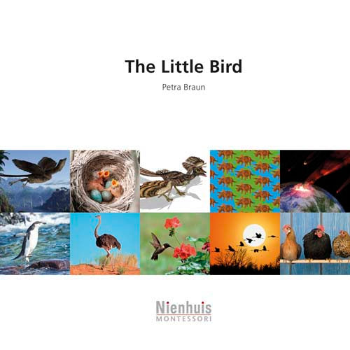 Nienhuis The little bird†††††