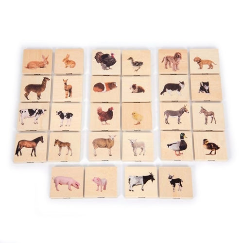 Domestic Animals Wooden Blocks: Adults and Young