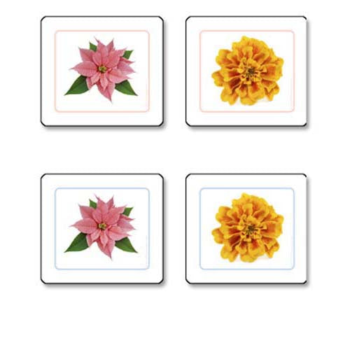 Nienhuis ETC Flowers Matching Cards