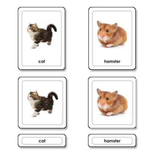 Nienhuis ETC Pets 3 Part Cards