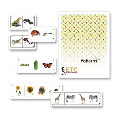 Nienhuis ETC Looking for Patterns in Life Science