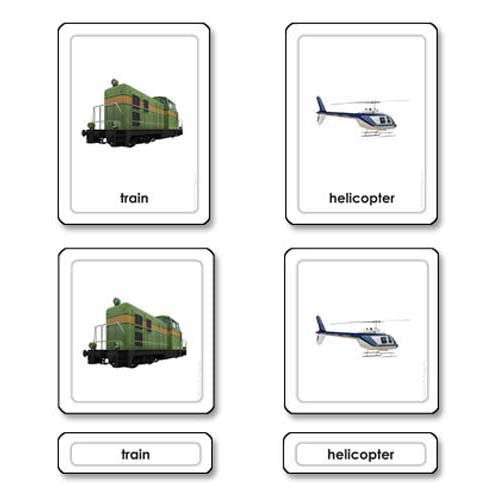 Nienhuis ETC Transportation 3 Part Cards