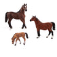 Arabian Horses Family Pack