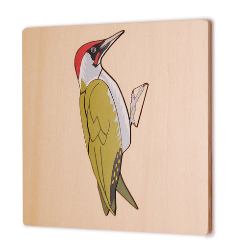 Montessori Woodpecker Puzzle