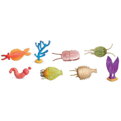Montessori Cambrian Creatures