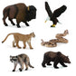 Animals of North America Pack
