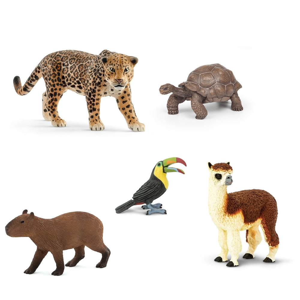 Animals of South America Pack