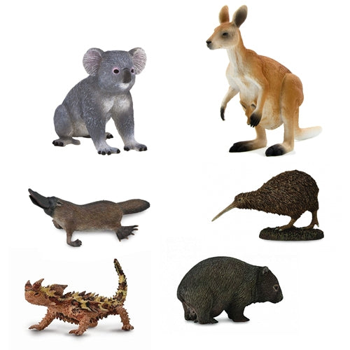 Animals of Australasia  / Oceania Pack
