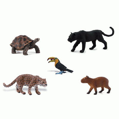 Animals of South America Pack