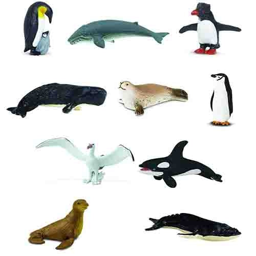 Discount Animals of Antarctica Pack