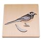 Wagtail Puzzle