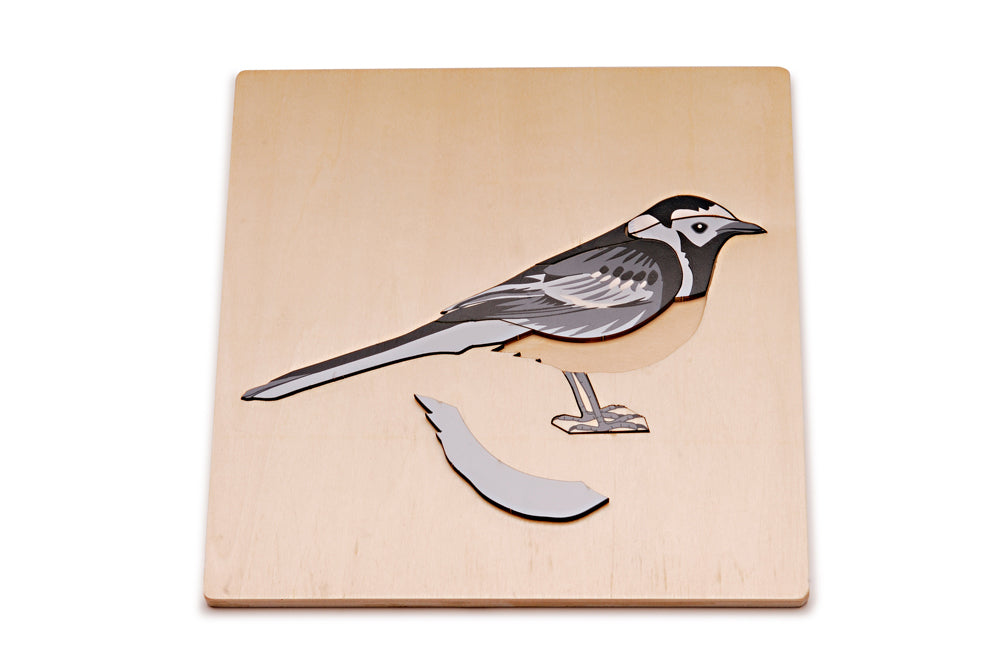 Wagtail Puzzle