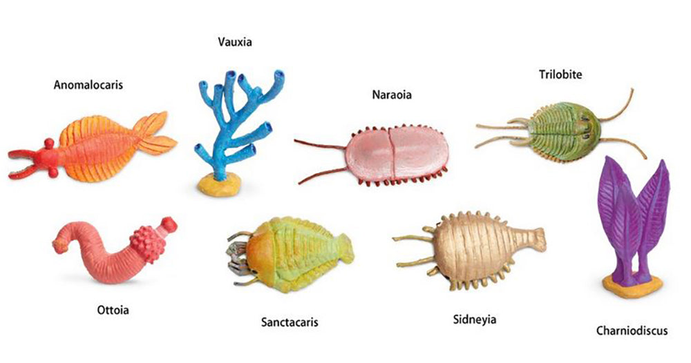 Cambrian Creatures