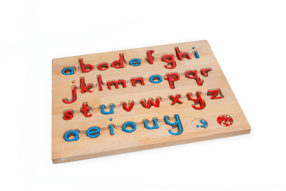 Configured Box for Print Small Movable Alphabet