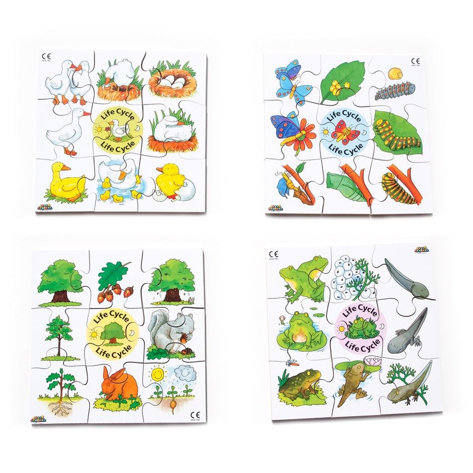 Life cycle: Lifecycles Stand and Cards – Absorbent Minds Montessori