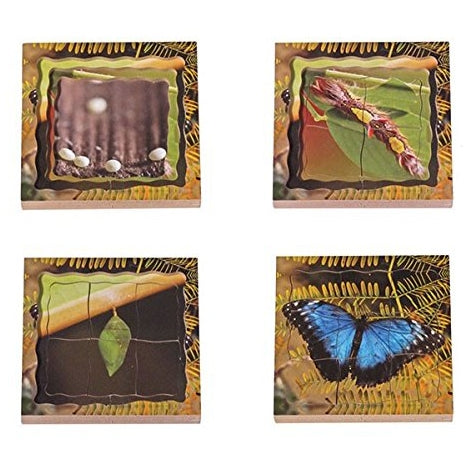 Butterfly Lifecycle Layered Tray Puzzle