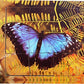 Butterfly Lifecycle Layered Tray Puzzle