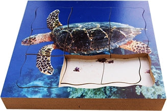 Turtle Lifecycle Layered Tray Puzzle