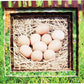 Chicken Lifecycle Layered Tray Puzzle