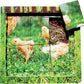 Chicken Lifecycle Layered Tray Puzzle